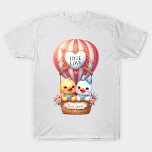 Valentine Bird Couple On Hot Air Balloon T-Shirt